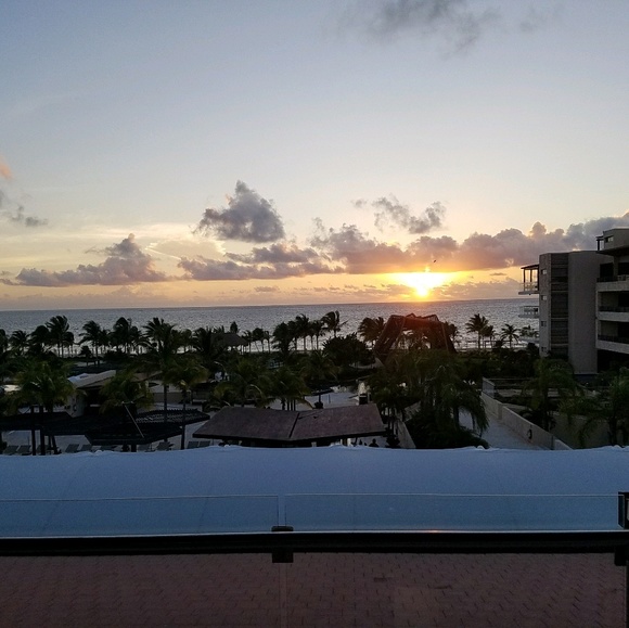 Meet your Posher, Ellie - Picture 1 of 1